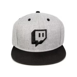 Twitch Embroidered Glitch - Gray 可調式刺繡板帽 灰色